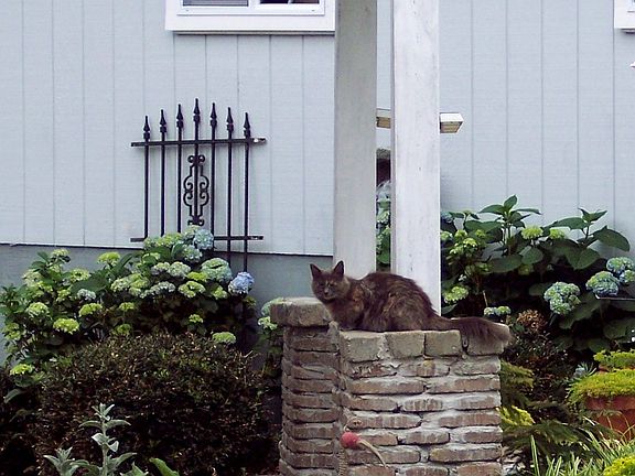 Rock entrance