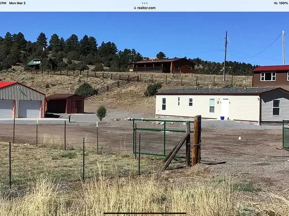 223 Forest Service Rd 101, Antonito, CO 81120