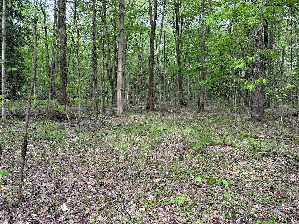1st image of Kellogg Hill Rd