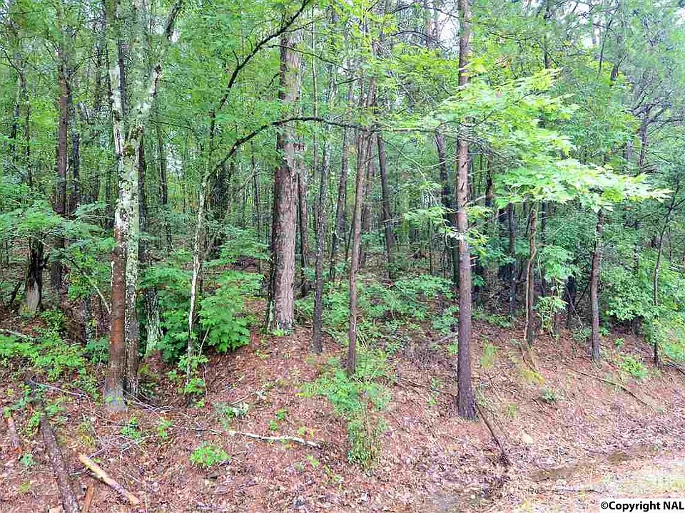 2nd image of 9661 Lay Springs Rd