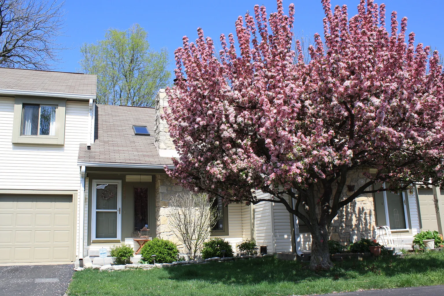 2522 Spring Hill Ct photo 1