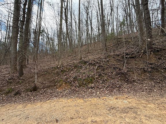 2nd image of 4.1 Reece Hollow Rd