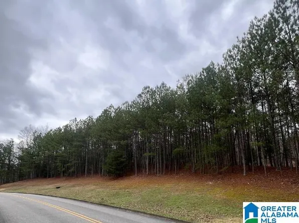 1410 Saint Andrews Pkwy Lot 80 & 81, Oneonta, AL 35121