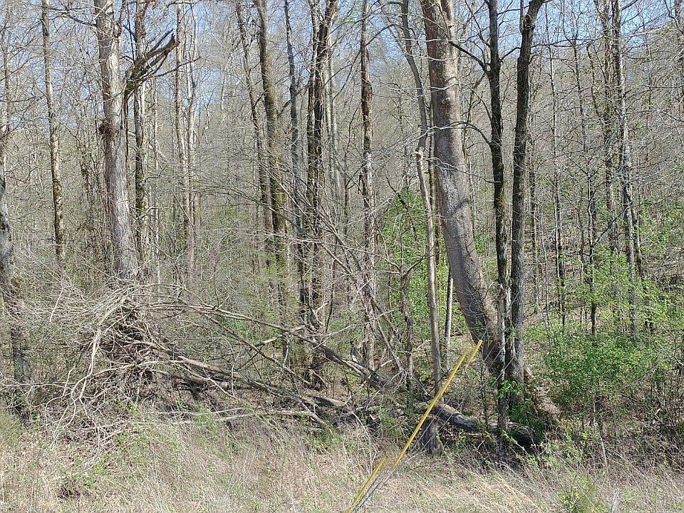 2nd image of 0 Meadow Rd W