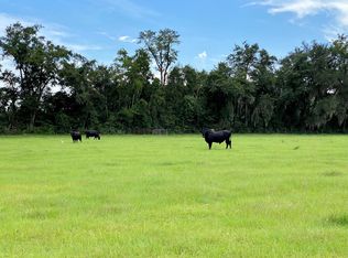 SW 65th Ln, Jasper, FL 32052