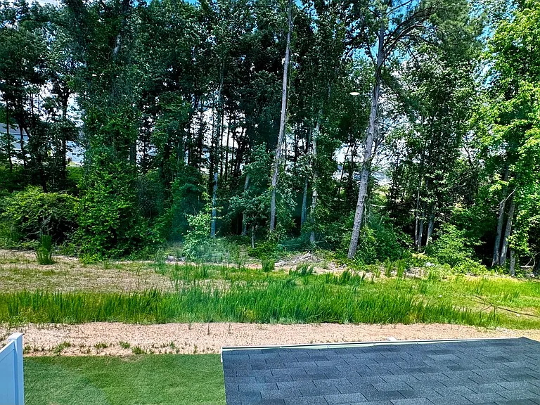 167 Aster Bloom Ln — Photo 18