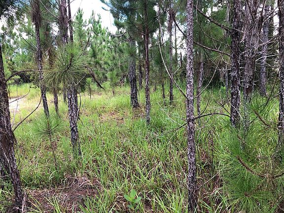 2nd image of 15 Spanish Pine Way