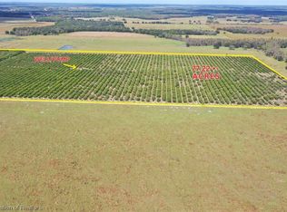 3023 Parnell Rd, Zolfo Springs, FL 33890