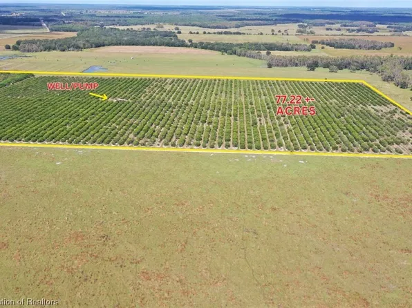 3023 Parnell Rd, Zolfo Springs, FL 33890