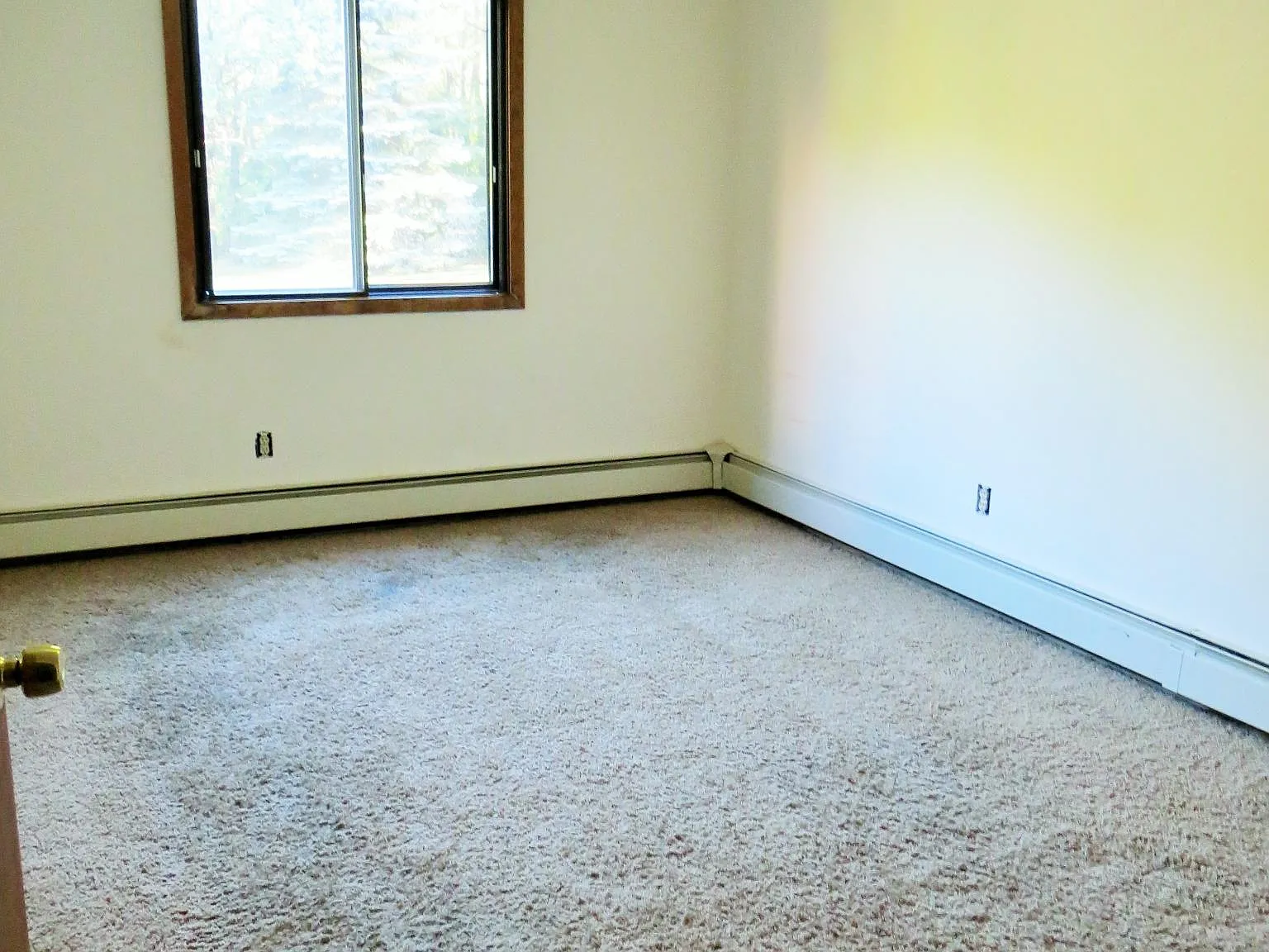 11800 Eldorado St NW — Photo 4
