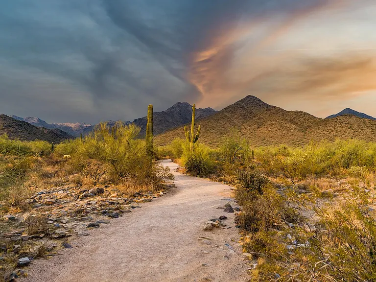 Hike through Scottsdale's desert beauty at McDowell Sonoran Preserve.