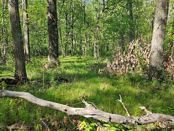 3rd image of LOT 49 Huron Cir