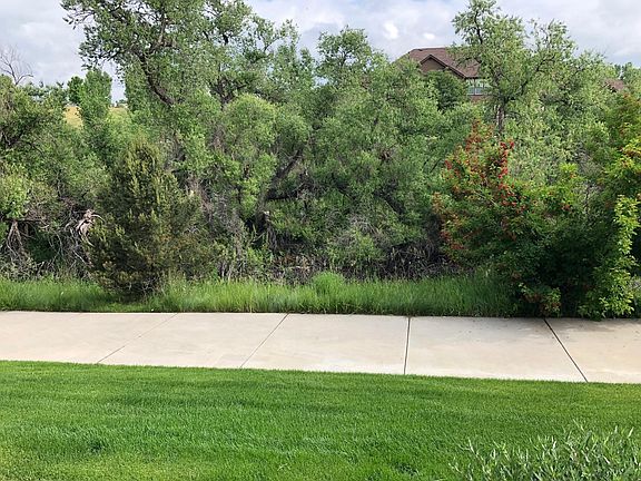 View from the back patio and the master bedroom.