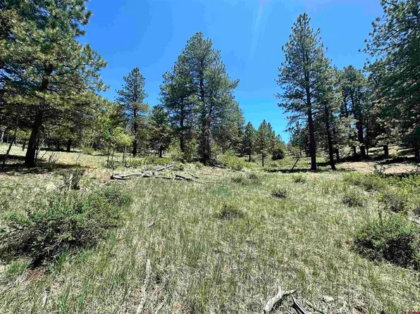 545 Church Creek Drive, South Fork, CO 81154