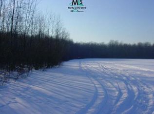 0 Todd Rd, Croswell, MI 48422