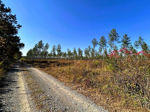 4th image of TRACT 12 Hughes Lake Rd SE