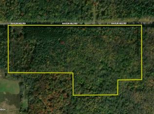 Ravlin Hill Rd, Clymer, NY 14724