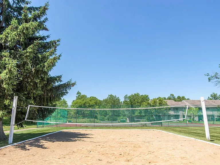 Volleyball Court
