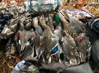 Muddy Creek Rd, Spring city, TN 37381