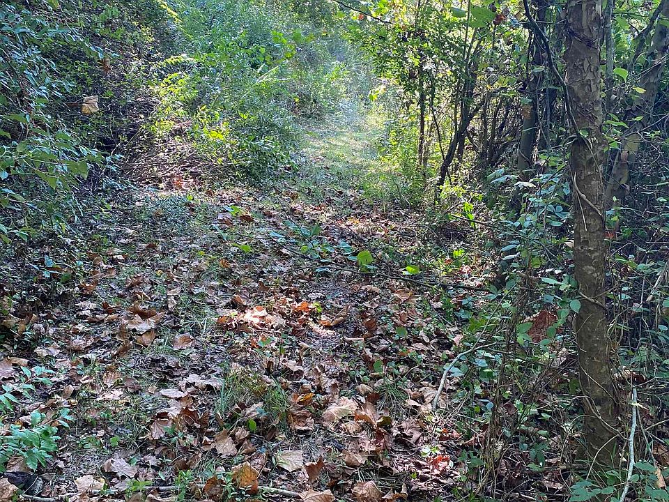 2nd image of LOT Three County Rd #70