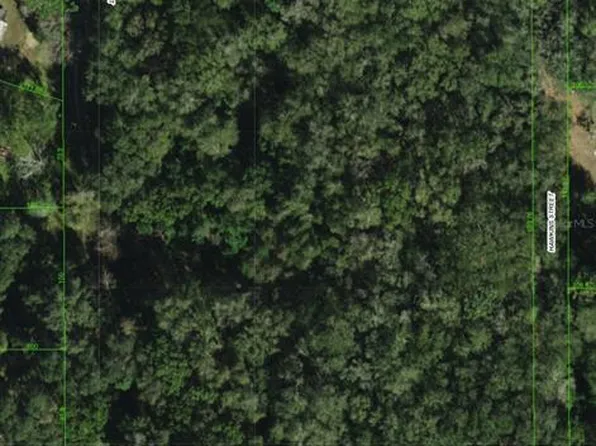 5430 Basie St, Zephyrhills, FL 33542