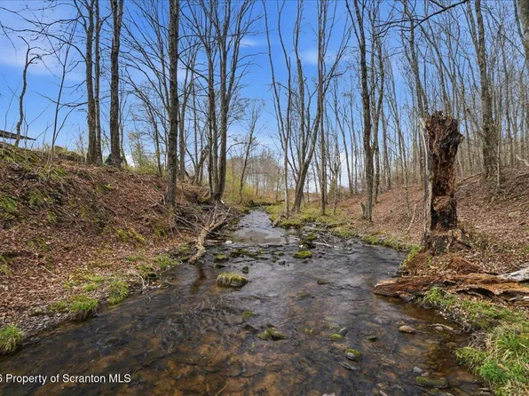 1140 Ball Pond Rd, Thompson, PA 18465