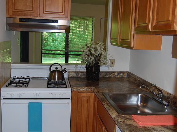 Kitchen with tree line view and pass through window to dinin