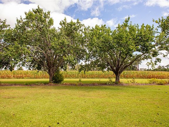 5th image of 596 Teakwood Rd