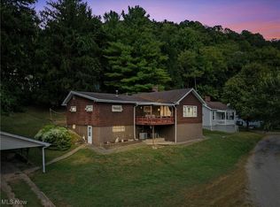 8 Spring St, Bridgeport, OH 43912