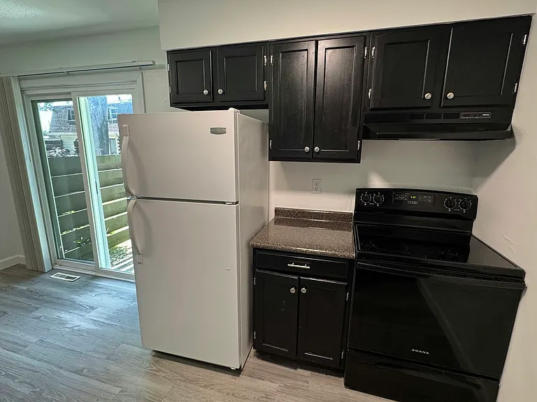 4167 W Ridge Rd #1 — Photo 5