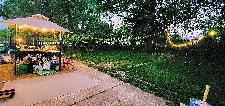 Backyard in the summer