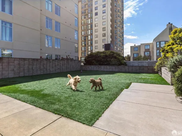 1310 Fillmore St #Penthouse 2-e, San Francisco, CA 94115