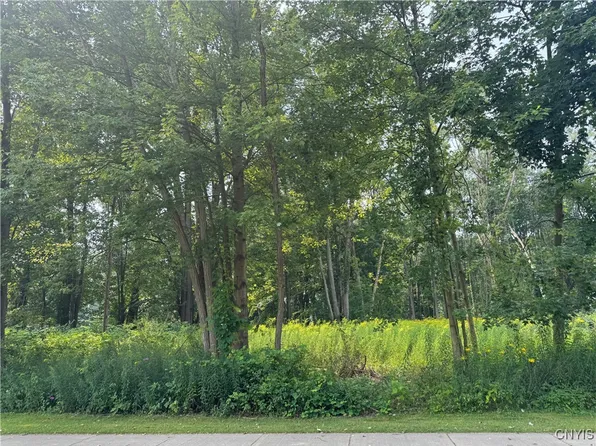 McClanathan Ave #2, Blossvale, NY 13308