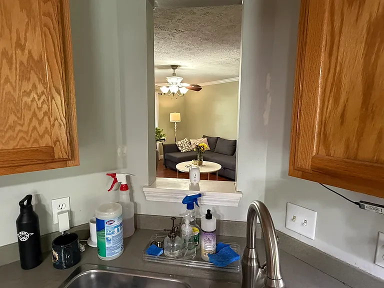 view from kitchen sink