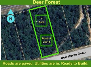194 Iron Horse Rd LOT 20, New Waverly, TX 77358
