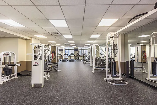 Rented by Chelsea Tower | media 8