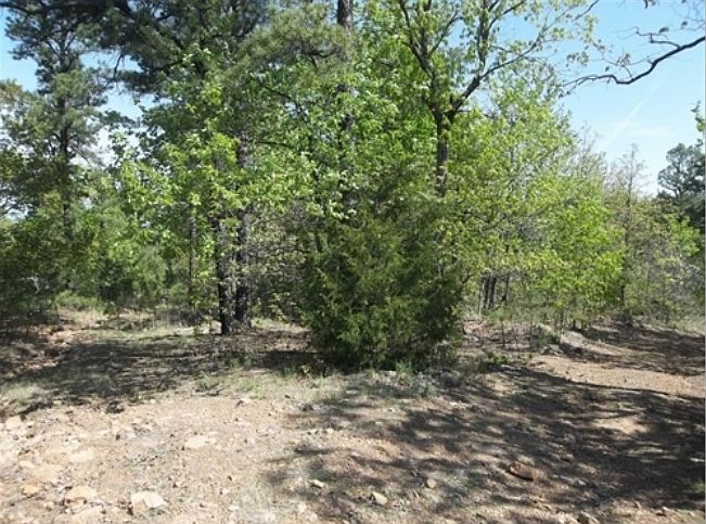 2nd image of Pine Mountain Rnch #66