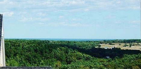 Summer View