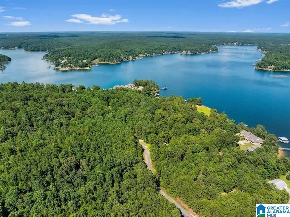 0 Lake Pointe Dr #1, Arley, AL 35541