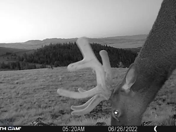 10840 Indian Creek Rd, Townsend, MT 59644