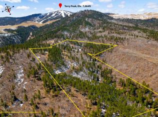 21121 Lost Irishman Rd, Lead, SD 57754