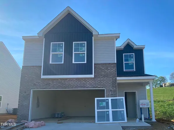 123 Mint Ct, Bluff City, TN 37618