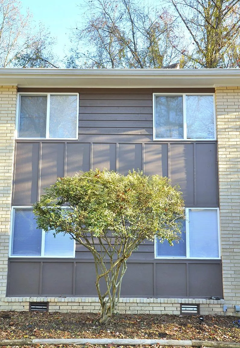 1 bed, 600 sqft, $950 — Photo 4
