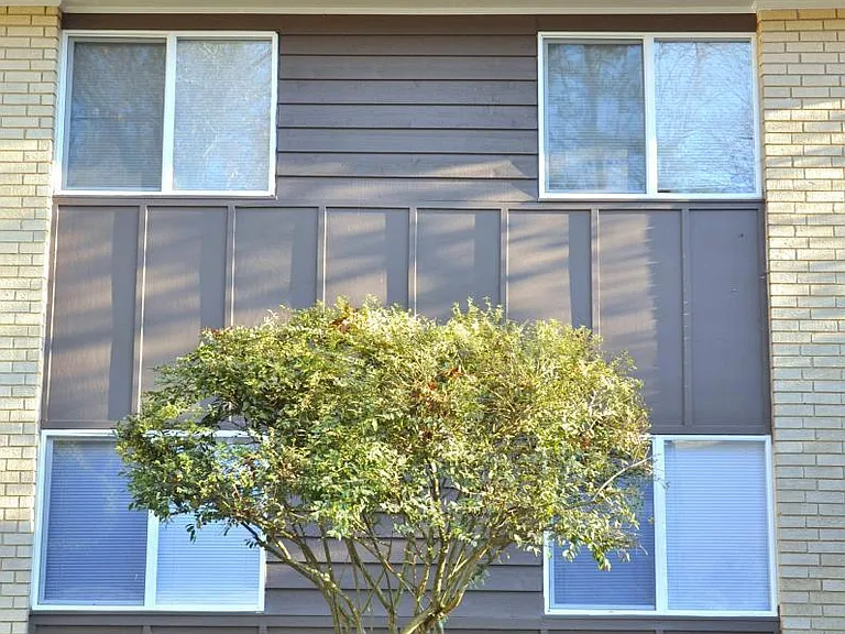 109 Peace St — Photo 8