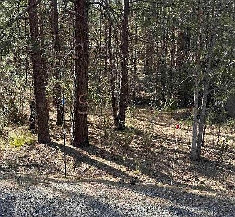 3rd image of 5711 Scott River Rd