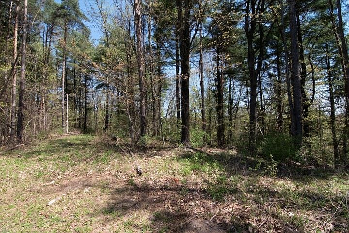 2nd image of 174 Burke Rd