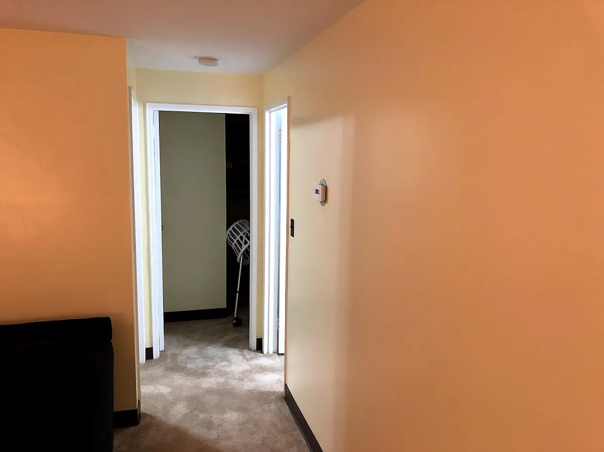 1 bed, 100 sqft, $1,295 — Photo 2