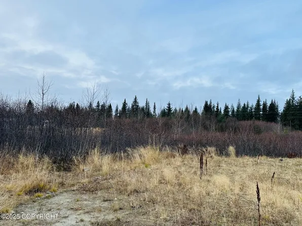 34191 Chapman St, Anchor Point, AK 99556