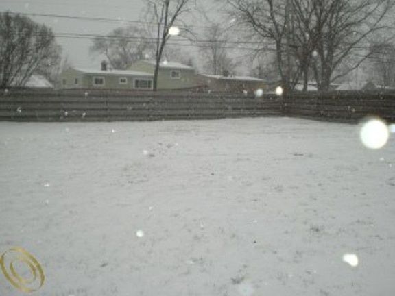 3rd image of 11848 Delvin Dr