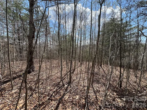 192 Pine Cone Trl #21, Marshall, NC 28753